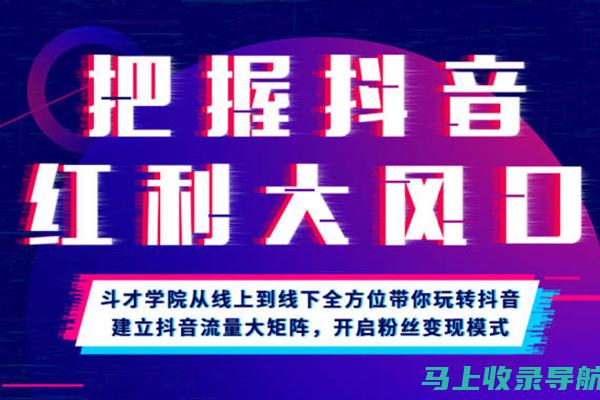 抖音SEO优化全攻略：掌握教程技巧提升视频排名